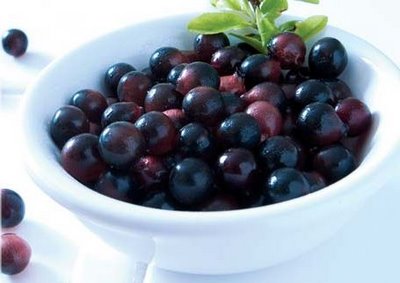 Acai Berry Fruit Supplement